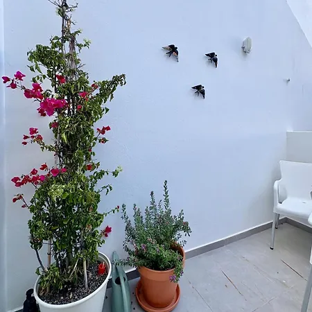 Casa Maria Laura - Cute In Center *